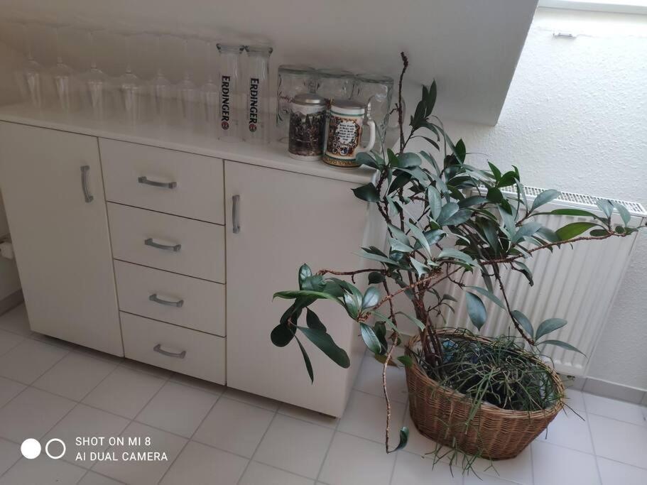 Tolle Wohnung In Zentraler Lage In Neu-Ulm Dış mekan fotoğraf