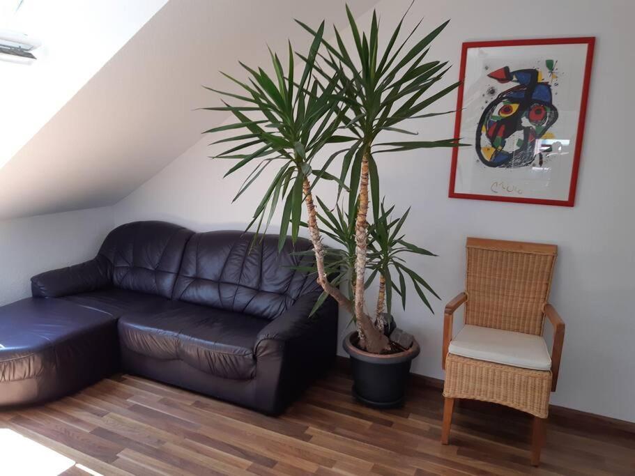 Tolle Wohnung In Zentraler Lage In Neu-Ulm Dış mekan fotoğraf